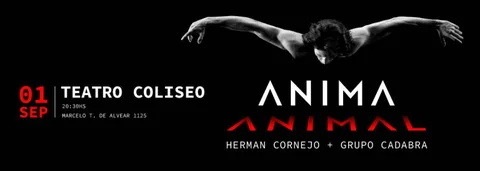 Anima Animal