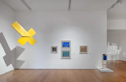 Trajetos brasileiros na arte latino-americana