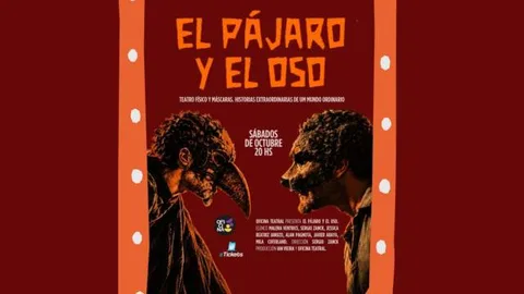 El pájaro y el oso