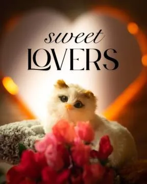 Sweet Lovers