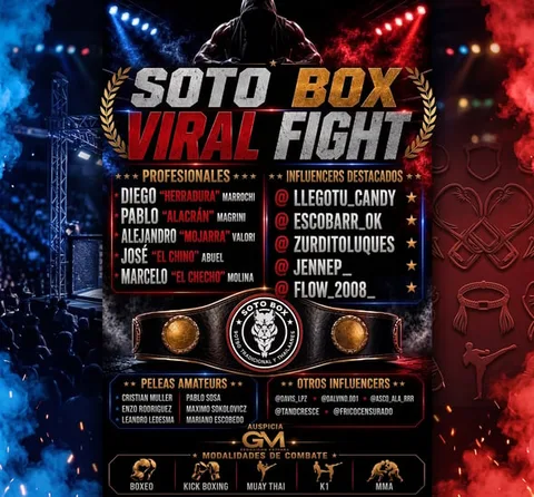 VIRAL FIGHT