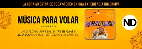 MUSICA PARA VOLAR INTERPRETA CANCION ANIMAL